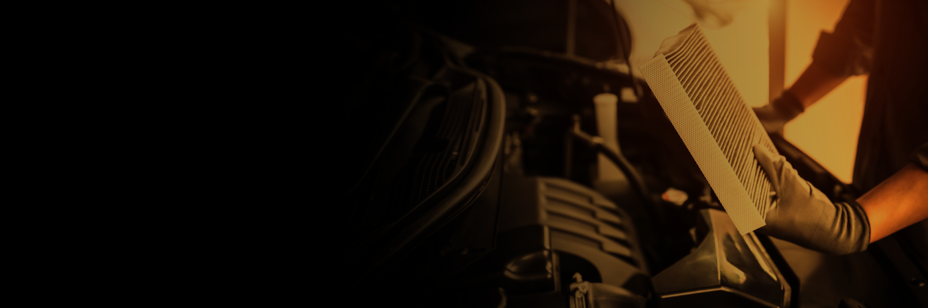Cabin Air Filters